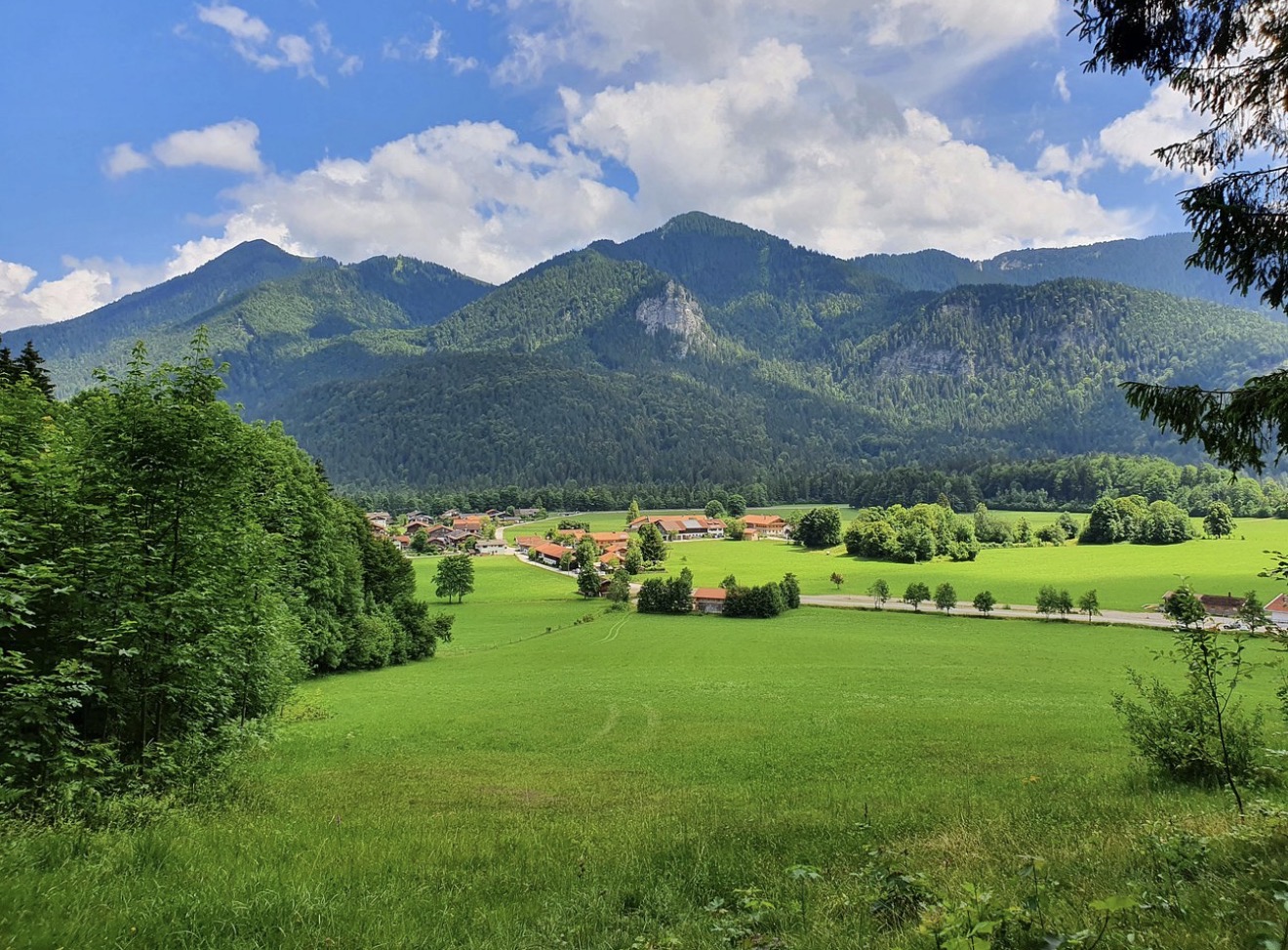 Sommerliche Bergwiese mit Blick auf Kreuth